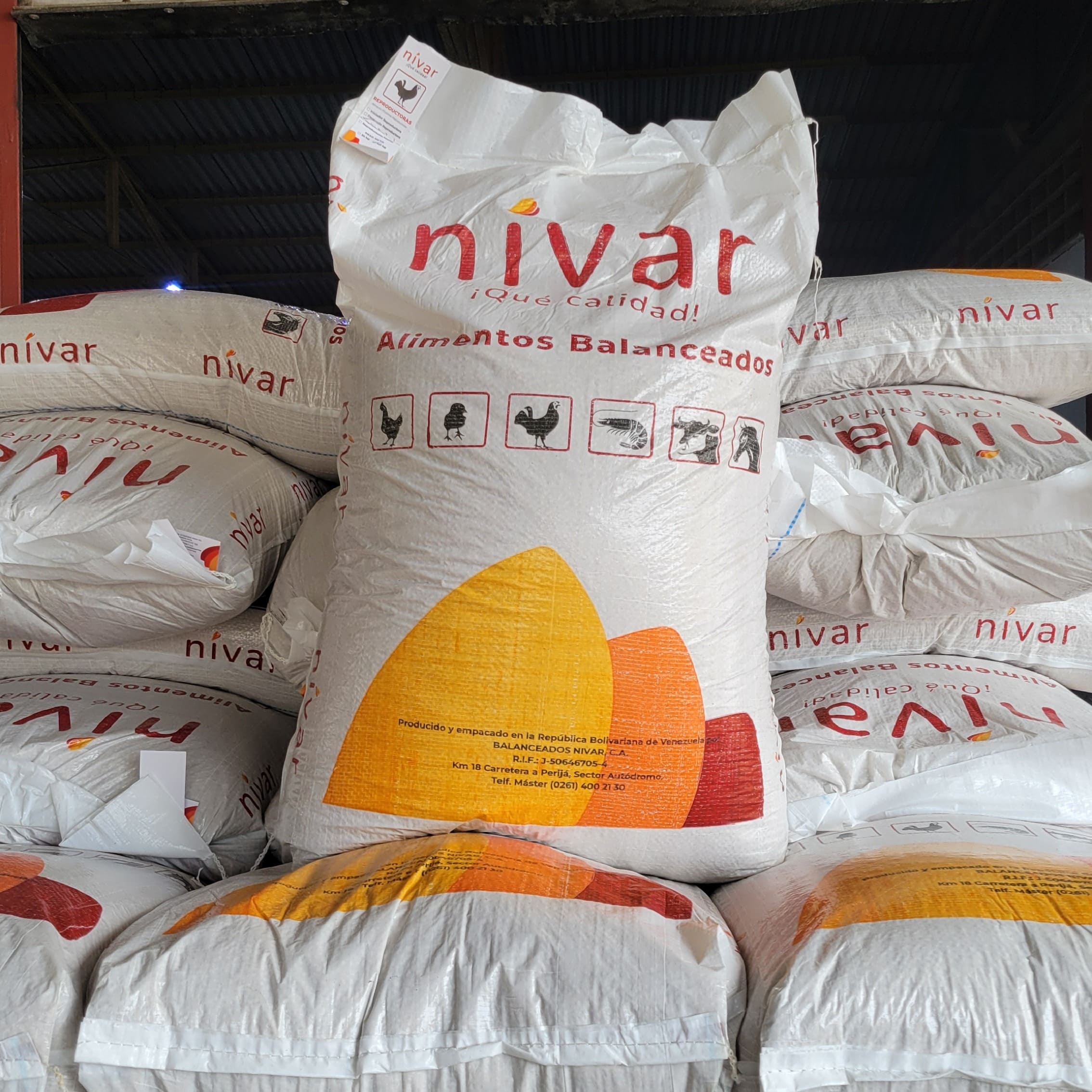 Producción de Alimentos Balanceados