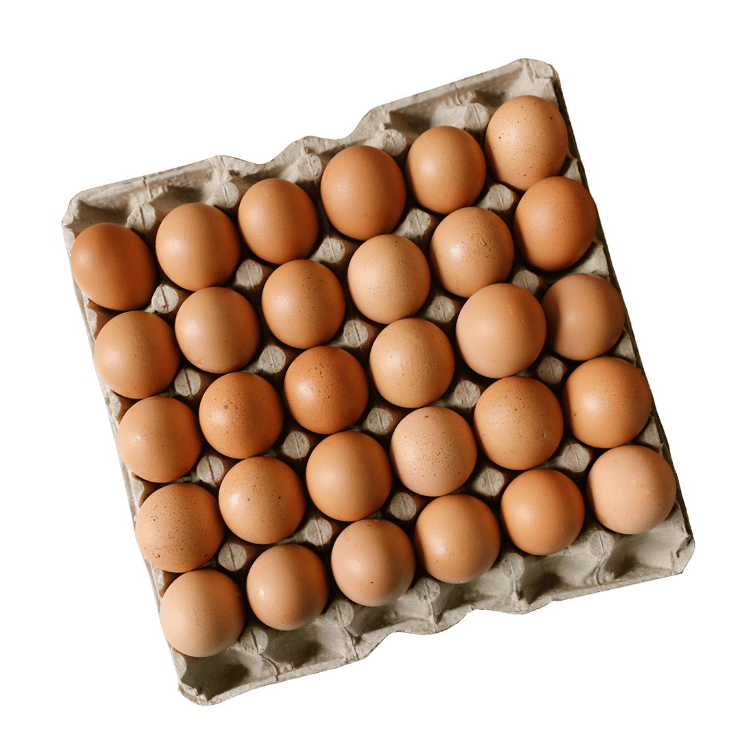 Cartón de 30 unidades